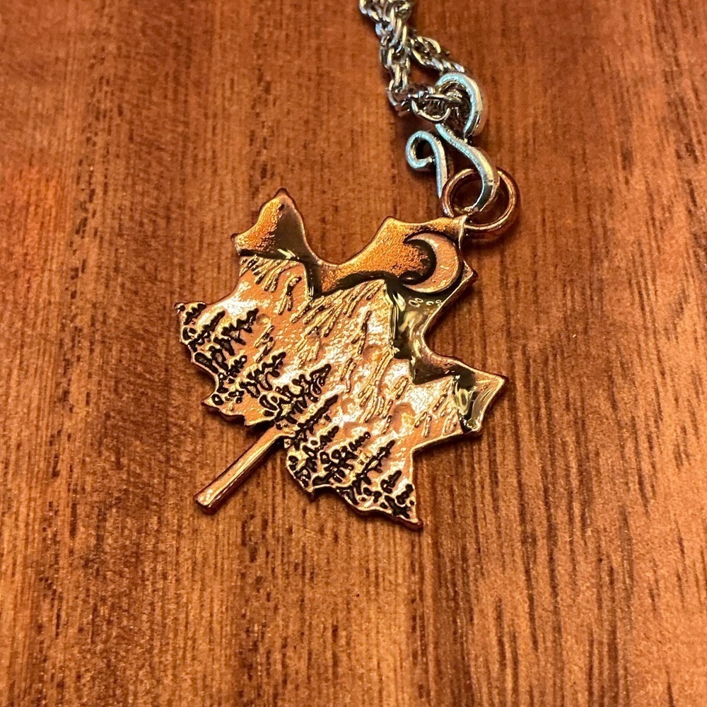 Unique Necklace with mountain scene, 24” Brand New! - Picture 2 of 2